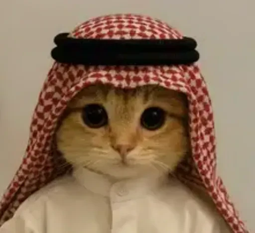The original photograph of the cat, against a plain wall.